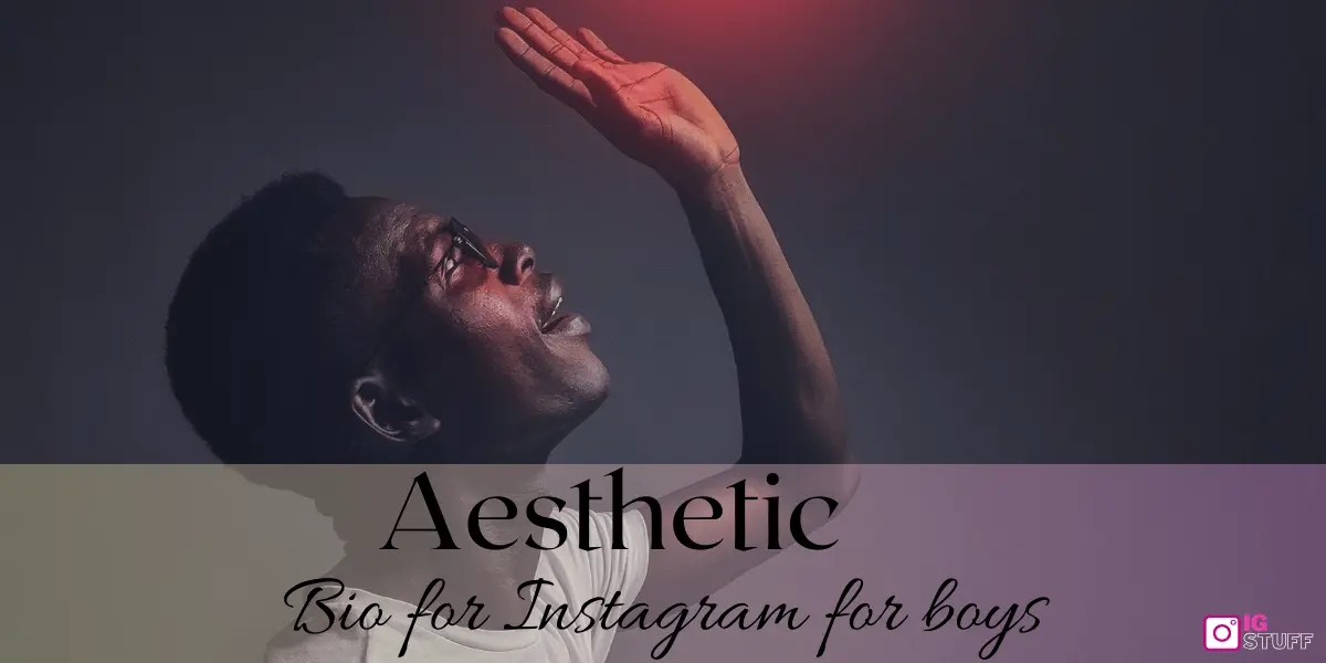 Aesthetic Bio for Instagram