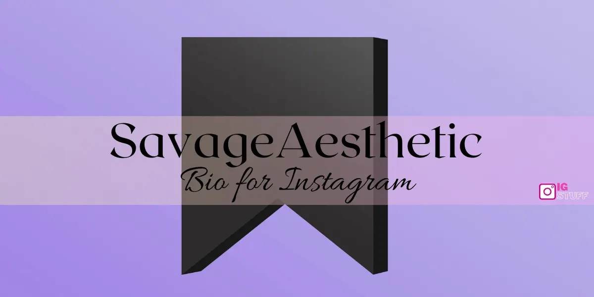 Aesthetic Bio for Instagram