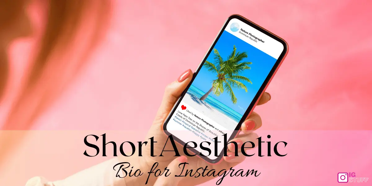 Aesthetic Bio for Instagram