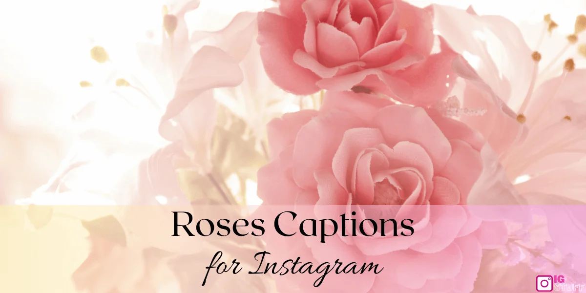 Rose Captions for Instagram