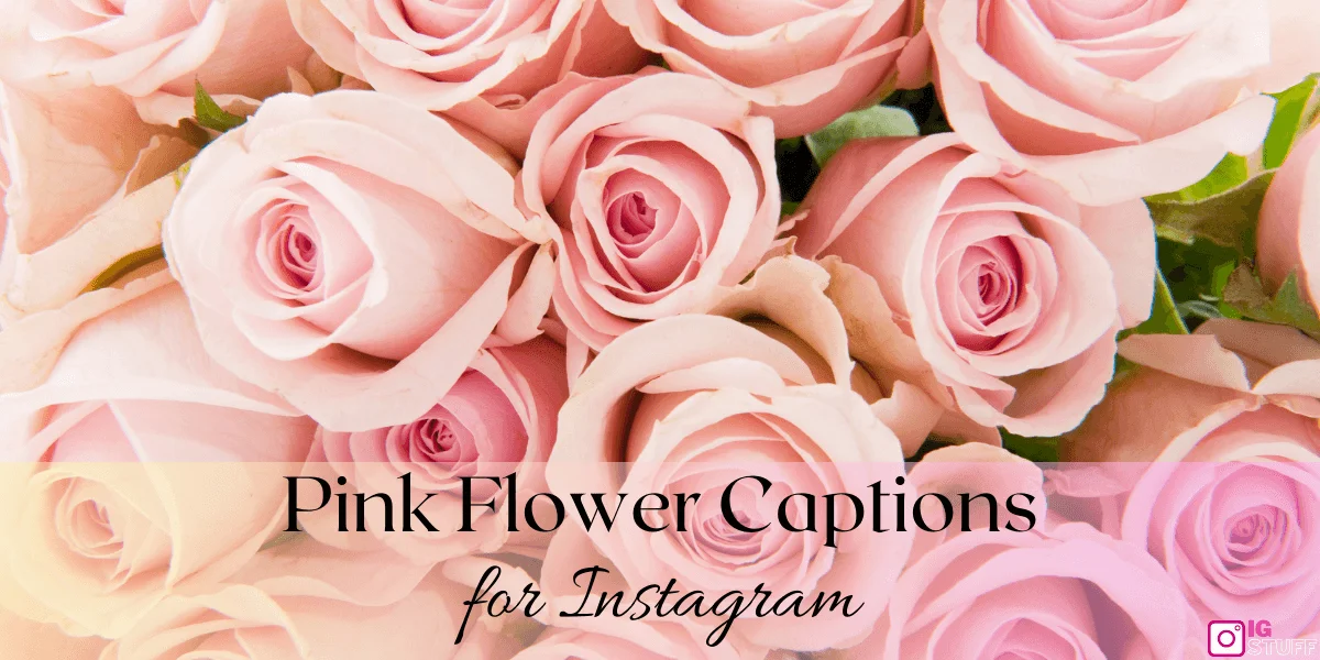 Pink Captions for Instagram