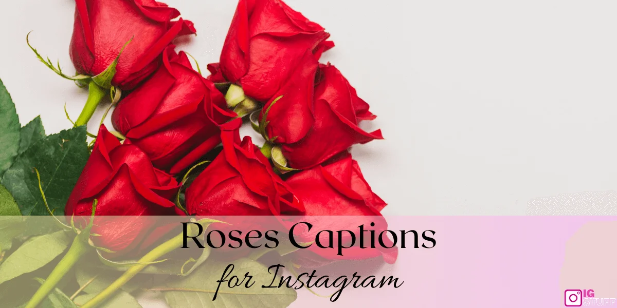 Rose Captions for Instagram