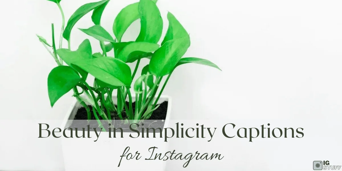 Simplicity Captions for Instagram