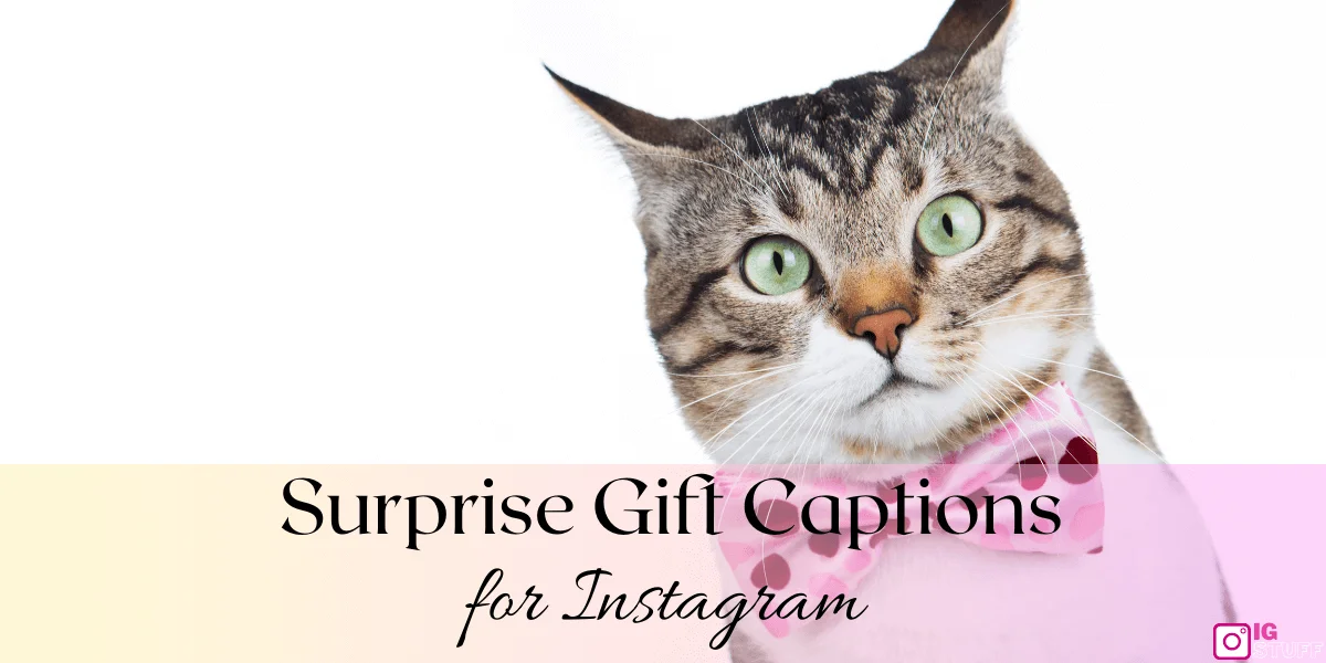 Surprise Captions for Instagram