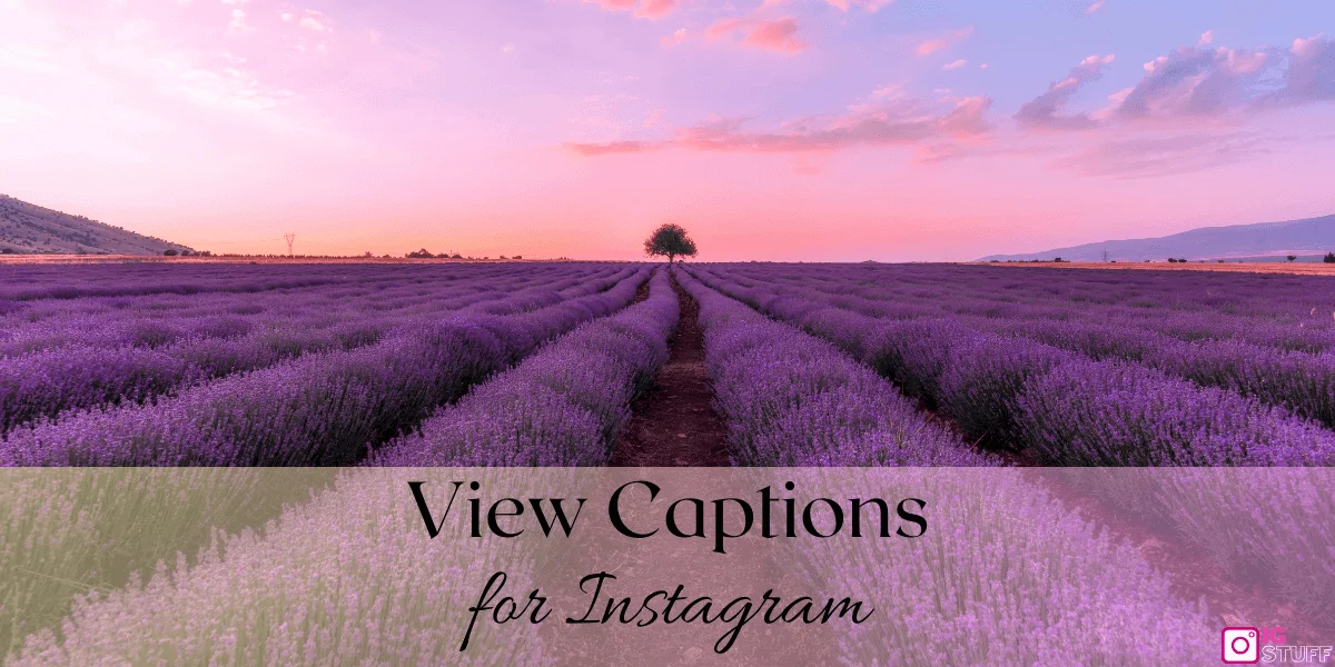 Scenery Captions for Instagram