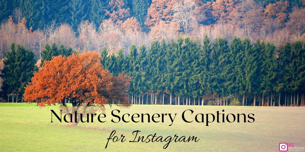 Scenery Captions for Instagram