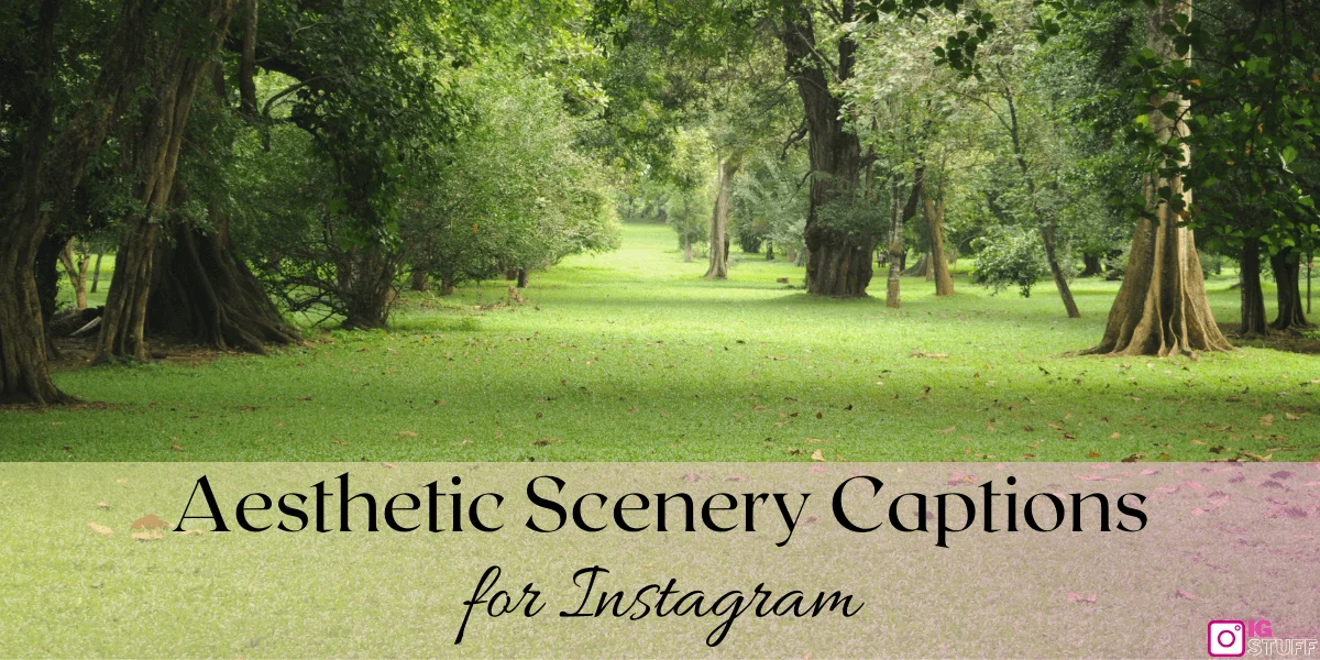 Scenery Captions for Instagram