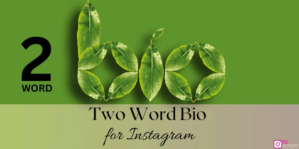 Two Word bio for Instagram