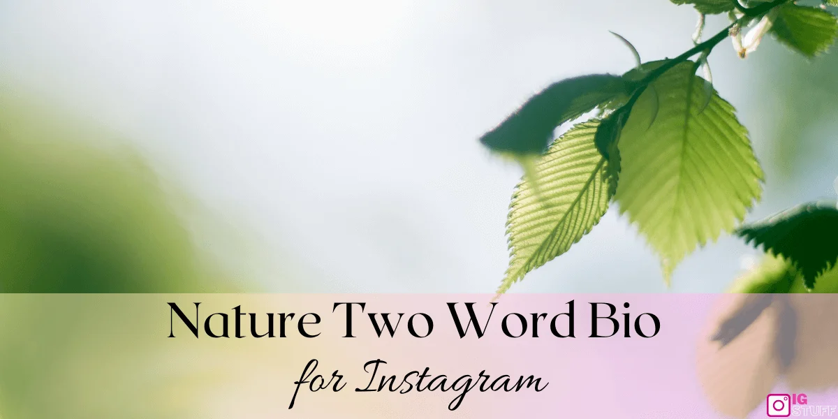 Two Word bio for Instagram