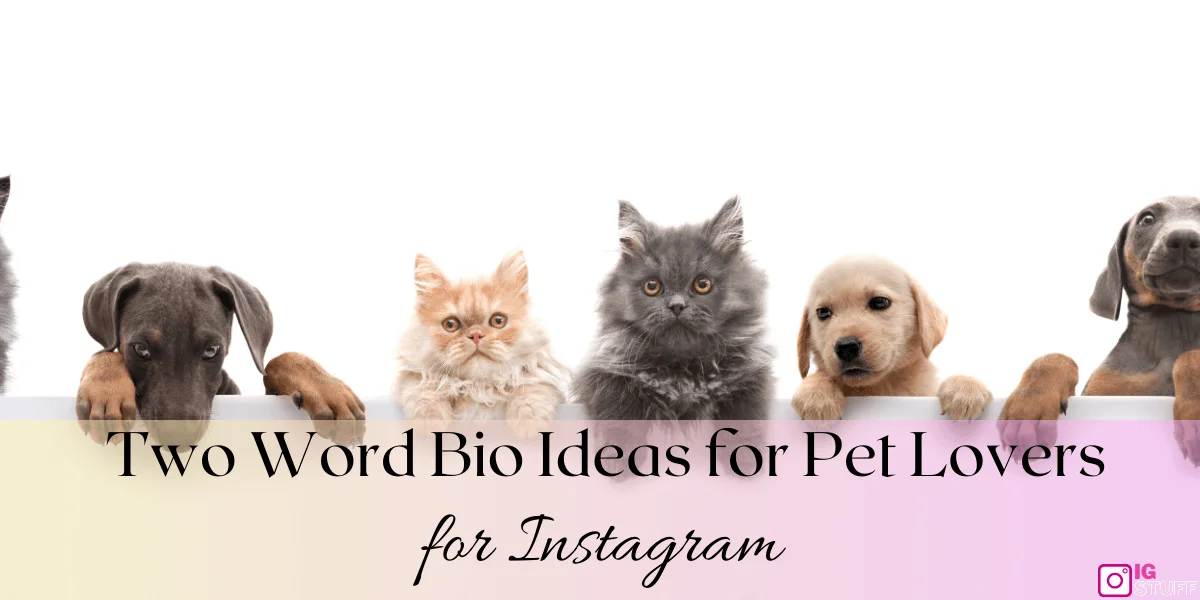 Two Word bio for Instagram