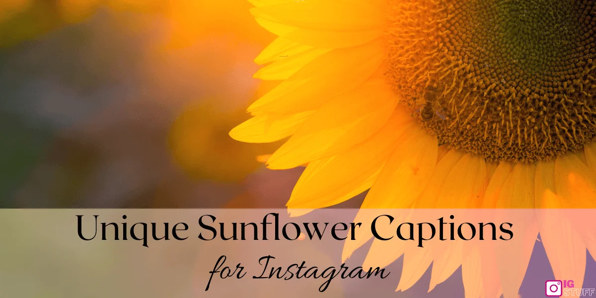 Sunflower Captions for Instagram