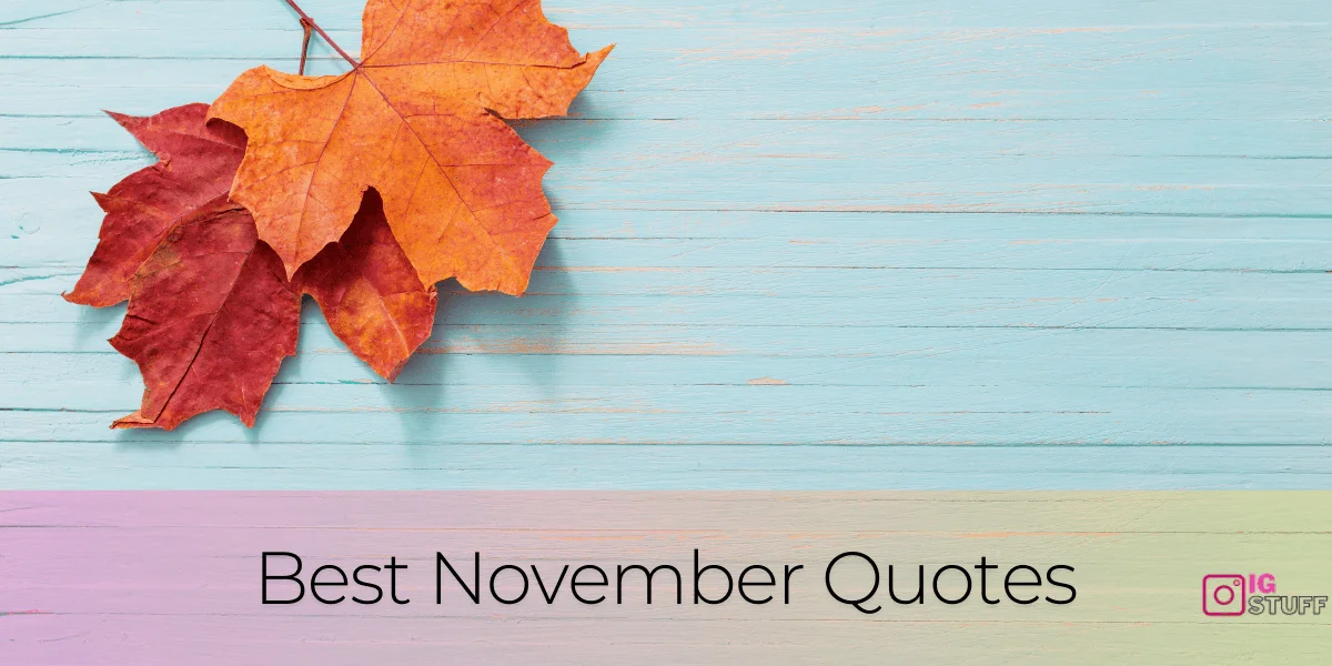 Hello November Quotes